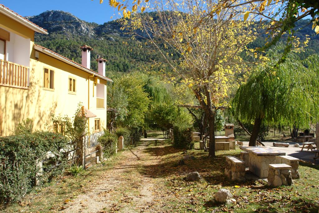 Fuente de la Yedra