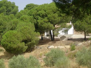 Casa rural Vi�a el Alamillo Andujar