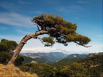 Casa rural Villa Fabrega Cazorla