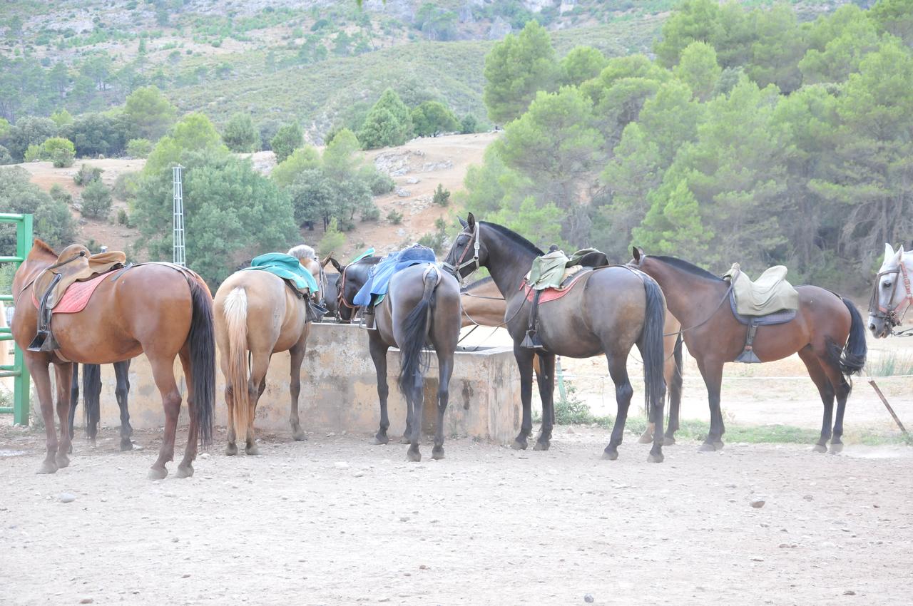 Ariosa - La Iruela Arroyo frio 