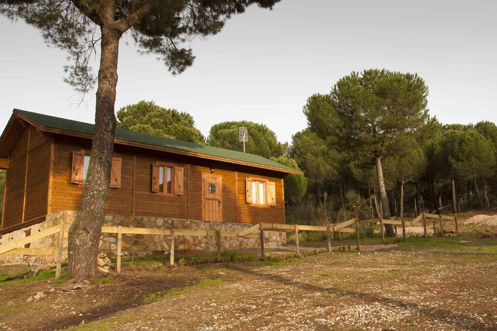 Apartamentos Paraje San Gines - Andujar  