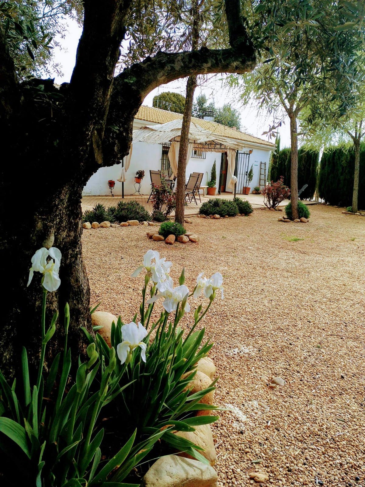 Casa del abuelo Jose - Marmolejo  