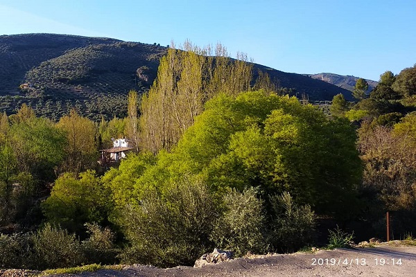 Nuevo Recuenco - Villanueva del Arzobispo  