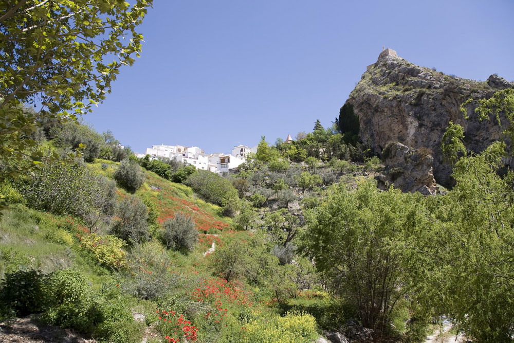 Calle de Oran - Castril  