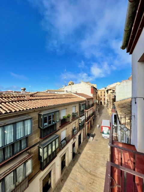 Vivienda con fines turisticos Real XIX  - Ubeda  