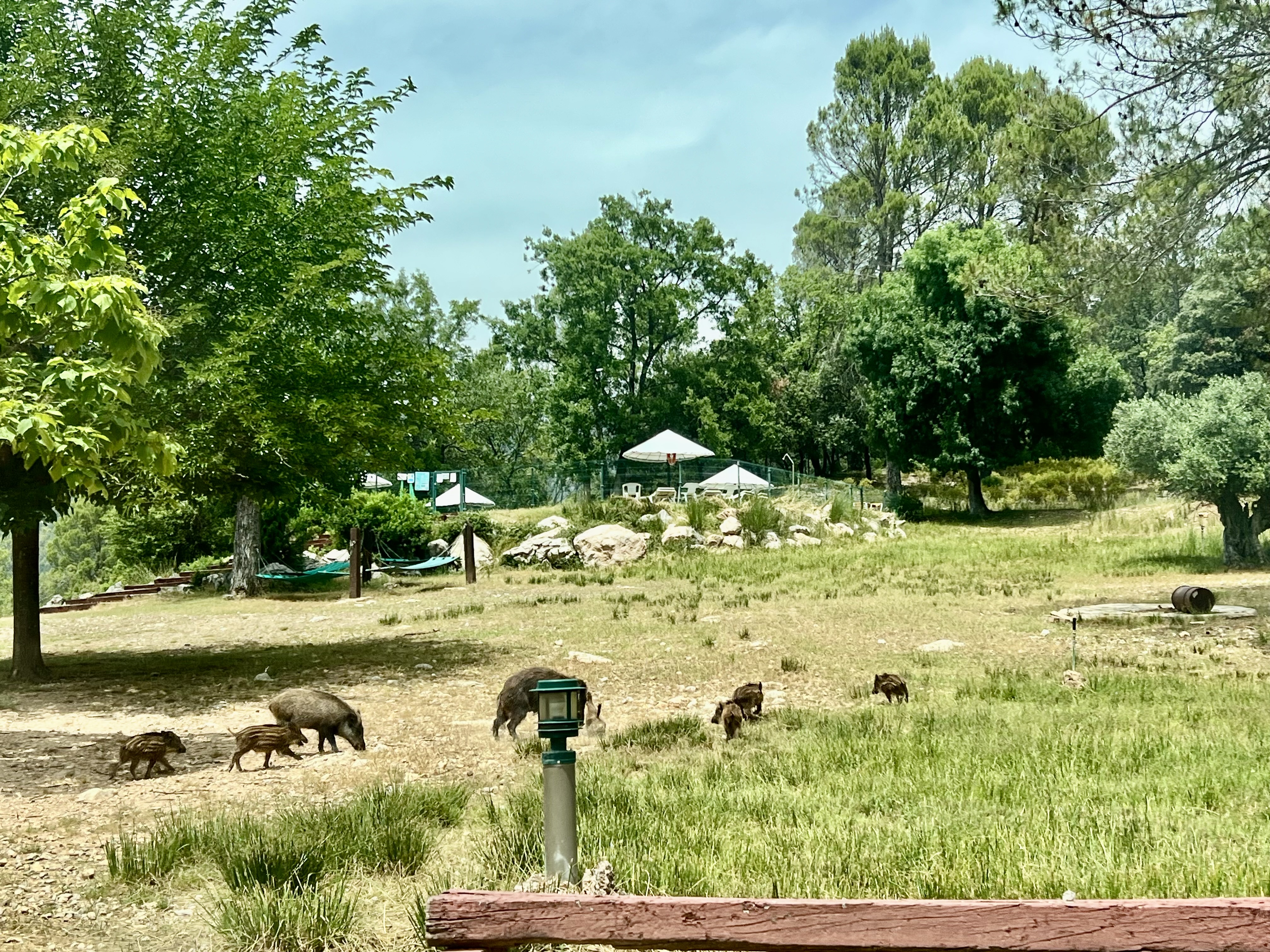 Apartamentos Rurales el Chaparral - La Iruela Arroyo frio 