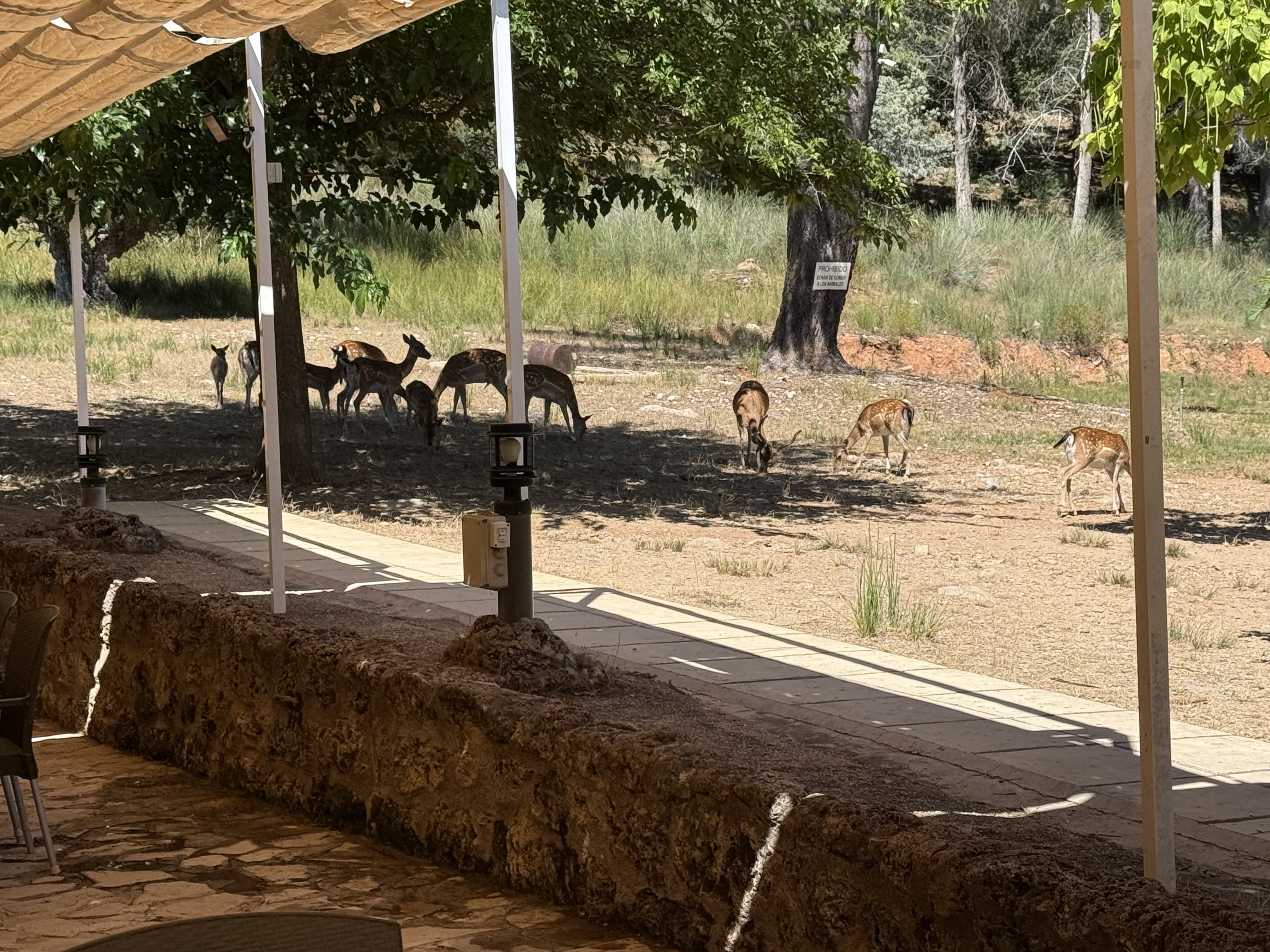 Apartamentos Rurales el Chaparral - La Iruela Arroyo frio 