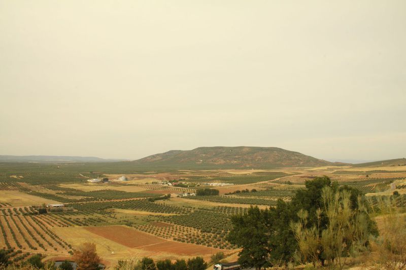 Complejo Rural Mirador del condado - Castellar  