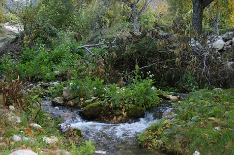 Casa Rural Inocente - Santiago-Pontones La Toba 