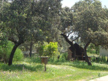 Vivienda rural San Jose Marmolejo