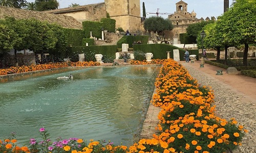 Cordoba -   