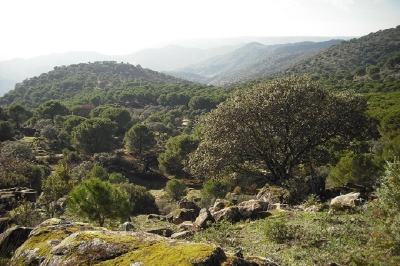 Sierra de Andujar