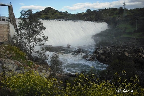 EMBALSE EL ENCINAREJO